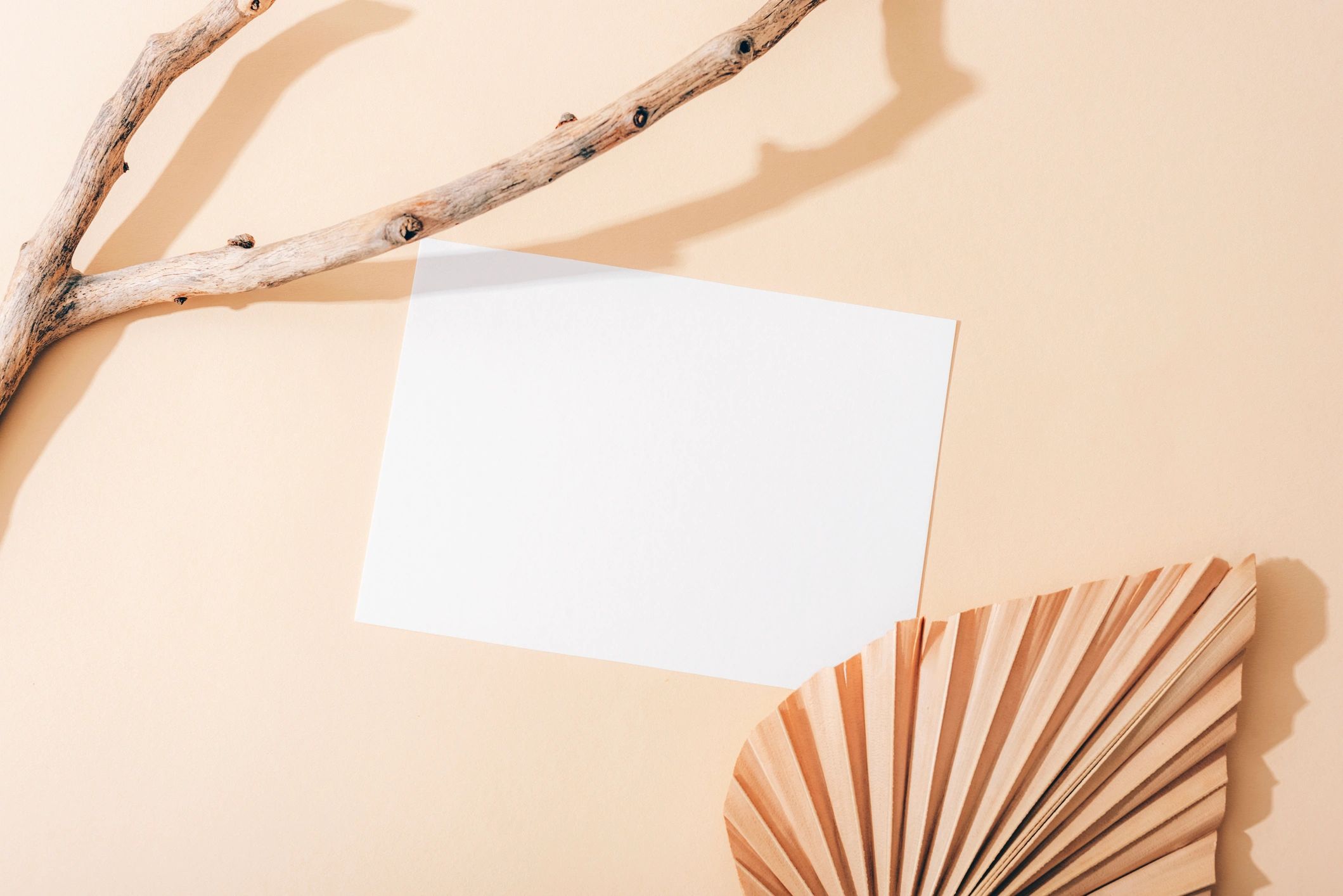 Blank greeting card with natural decor on a beige background